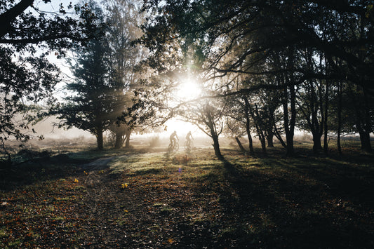 Green Friday: växer tillsammans med Shimano och Treedom